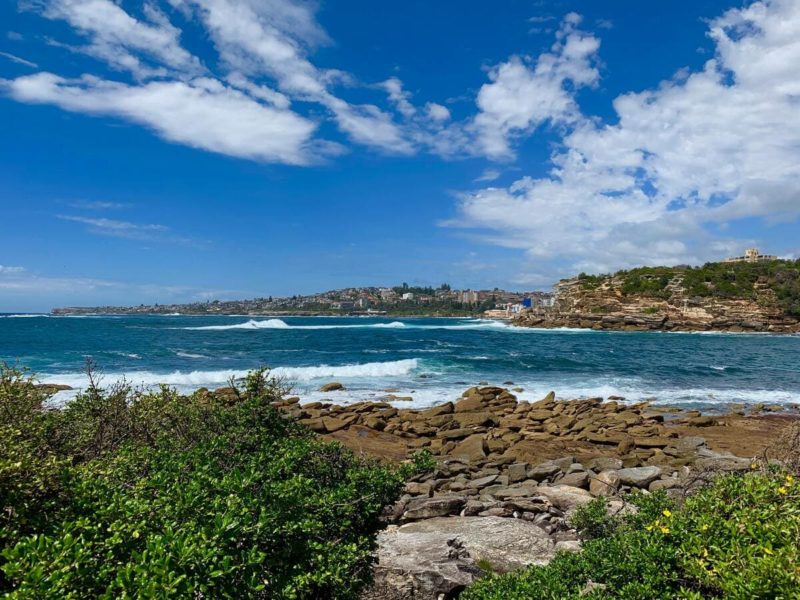 Clovelly Beach