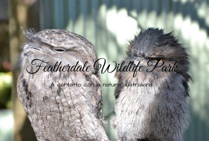 Featherdale Wildlife Park