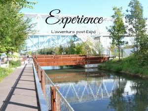 Experience