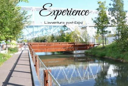 Experience