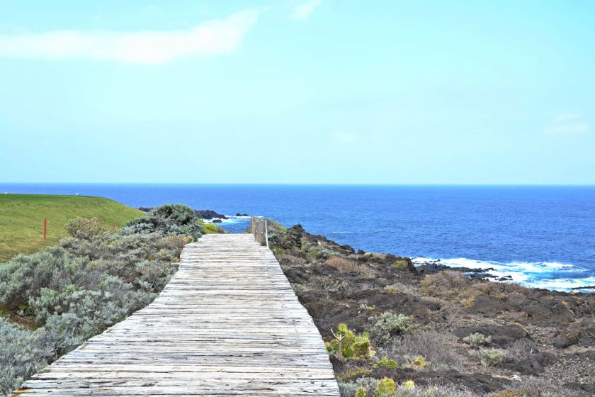 Panorama Punta De Las Vinas