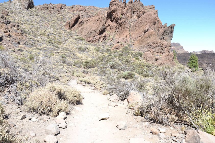 Sentieri sul Teide