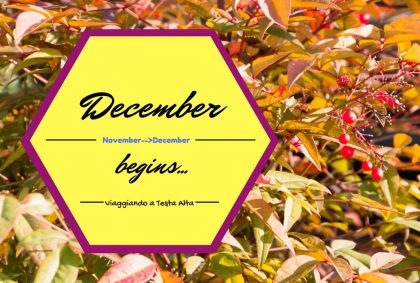 december begins