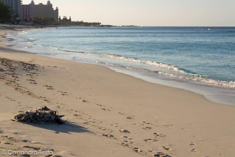 Cabbage Beach, Paradise Island