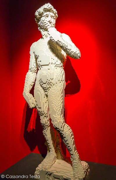David