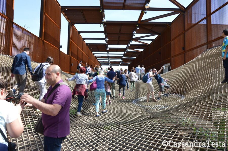 Rete del Brasile Expo 2015
