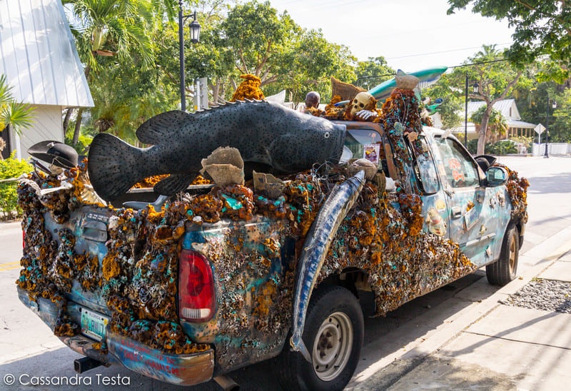 Stranezze di Key West