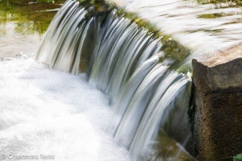 Fotografare la natura nel parco nord
