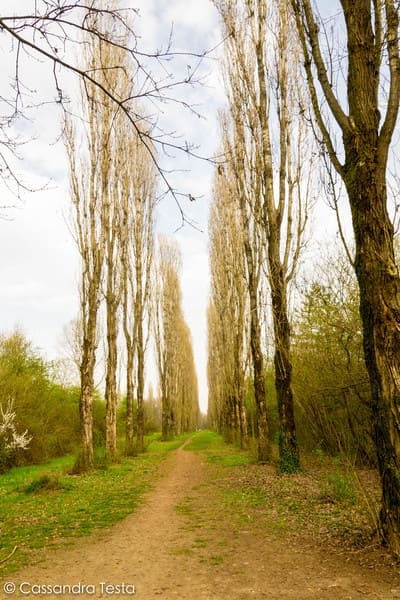 Parco Nord di Milano