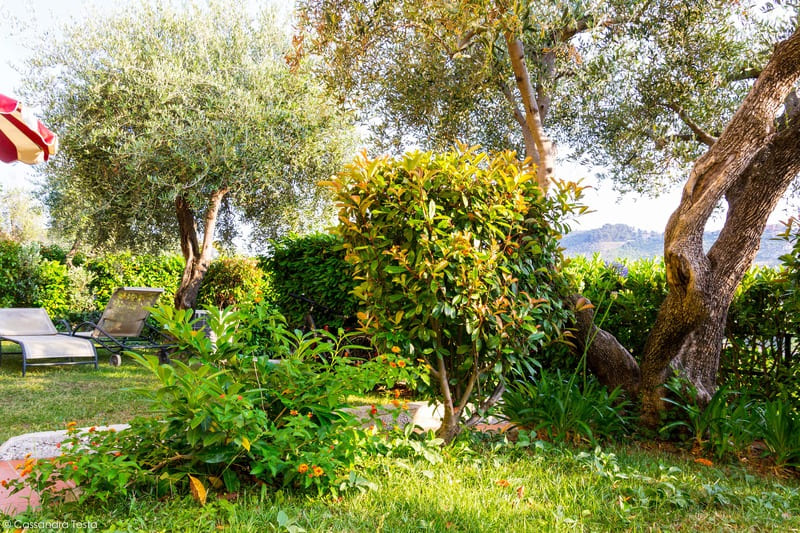 Giardino privato del mio appartamento