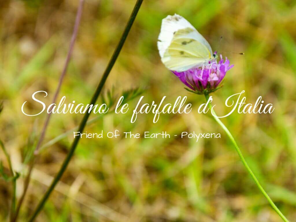 Salviamo le farfalle d'Italia
