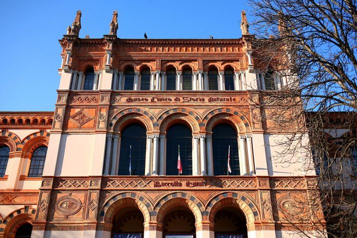 Museo di Storia Naturale, Milano