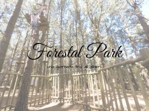 Forestal Park