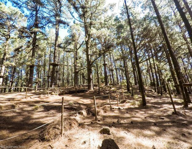 Forestal Park di Tenerife