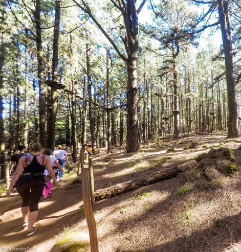 Forestal Park di Tenerife