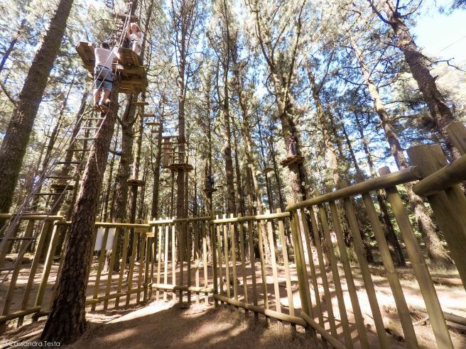Forestal Park di Tenerife