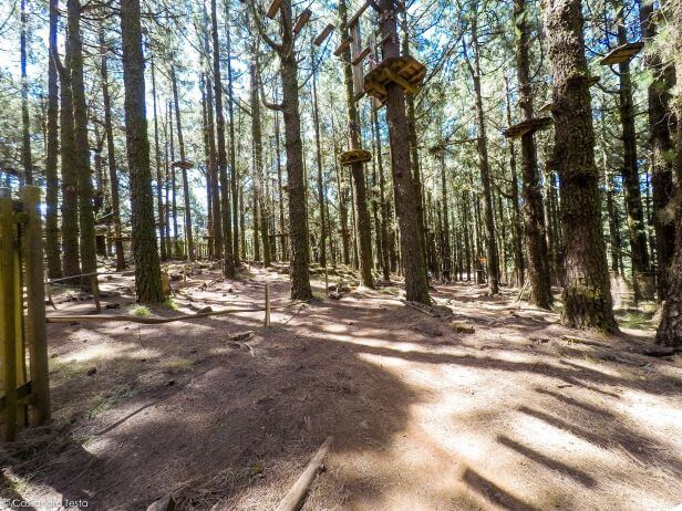 Forestal Park di Tenerife
