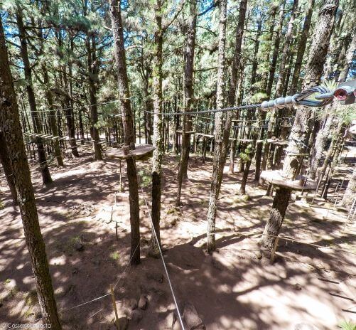 Forestal Park di Tenerife