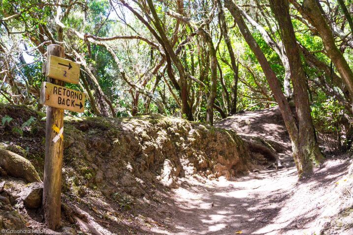 Sentiero de los Sentidos, Tenerife