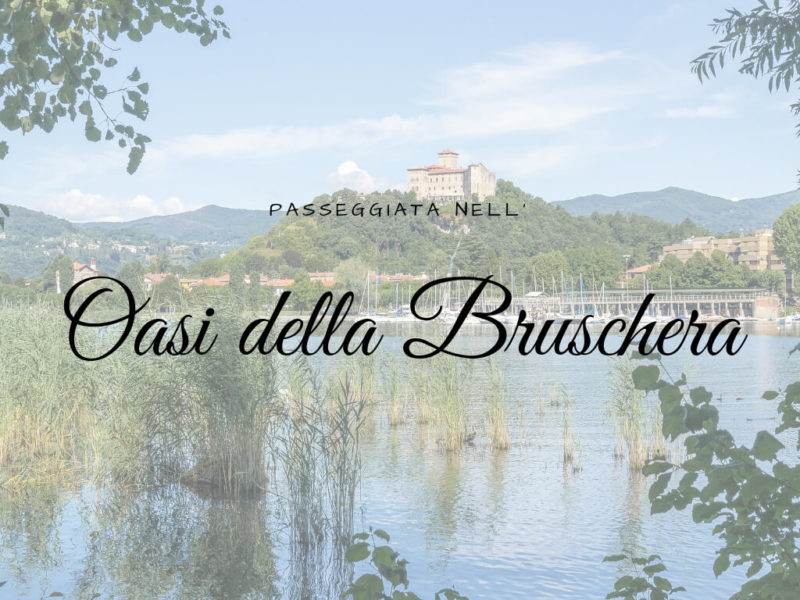 Oasi della Bruschera