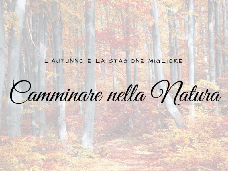 Camminare nella Natura