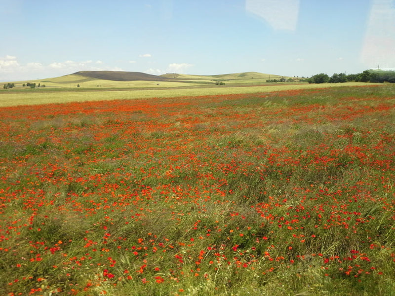 Campagna Monti Dauni Puglia