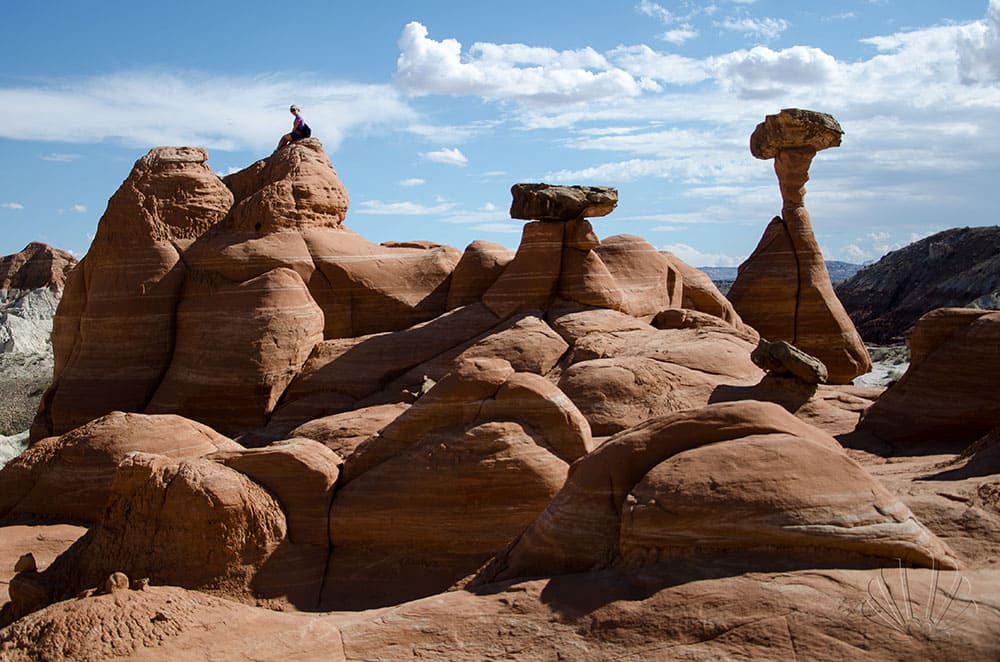 Toodstools