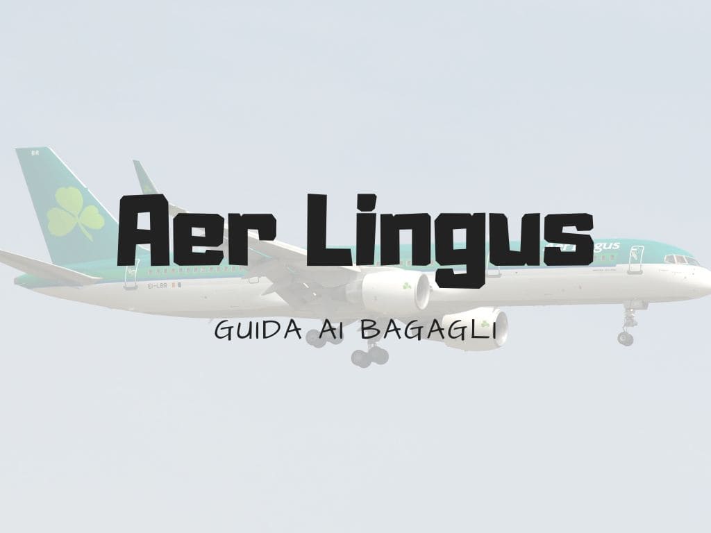 bagaglio aer lingus