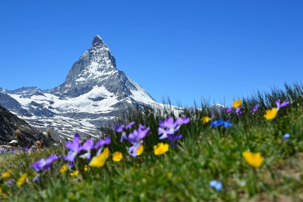 Primavera in Svizzera