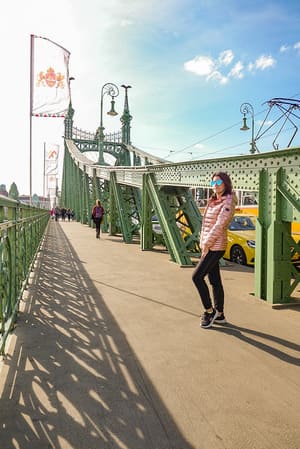 Ponte della Libertà a Budapest
