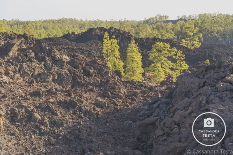 Colata Lavica Teide