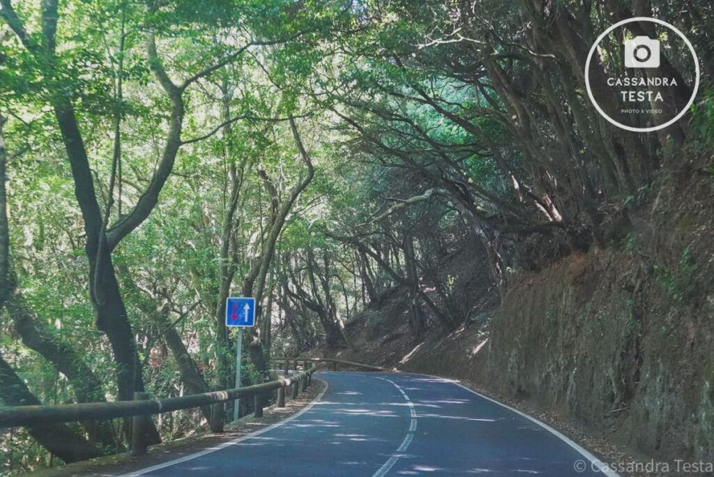 Strada Parco di Anaga