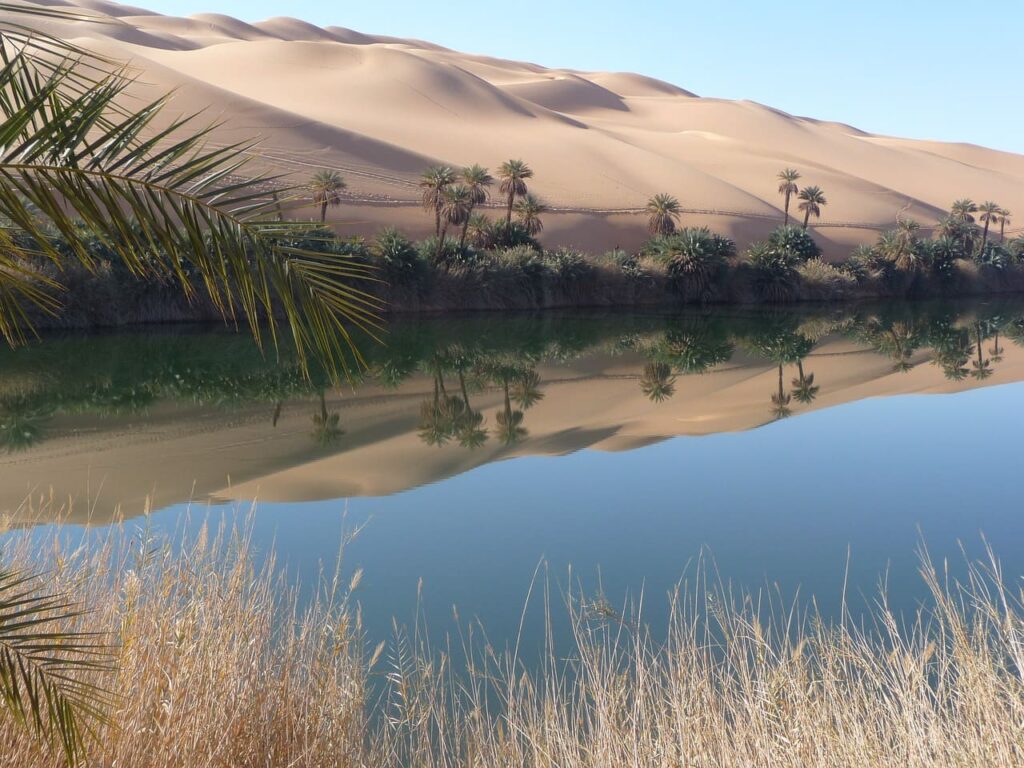 Libia