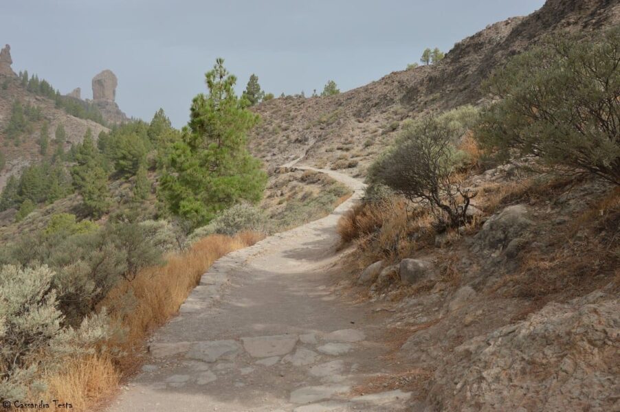 Roque Nublo