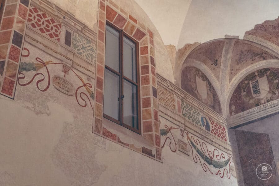 Decorazioni Sala del Cenacolo