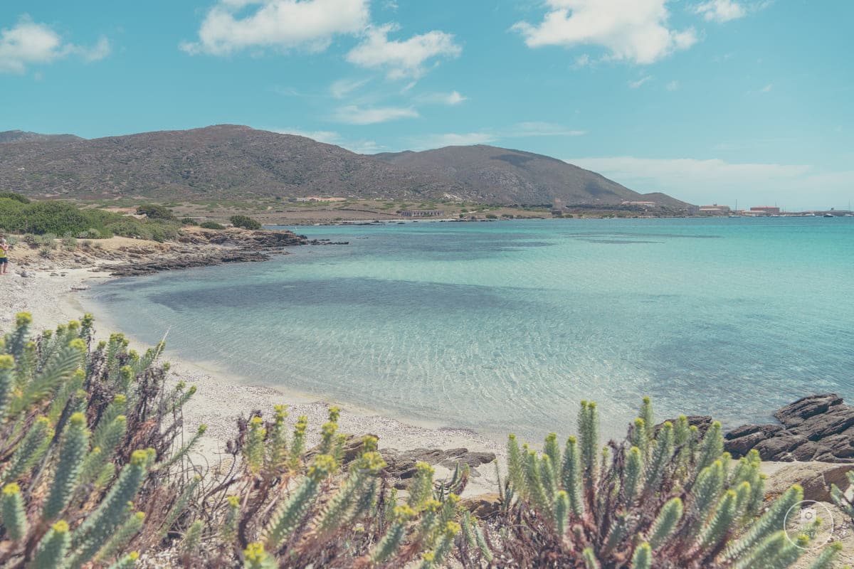 Spiaggia Isola Asinara