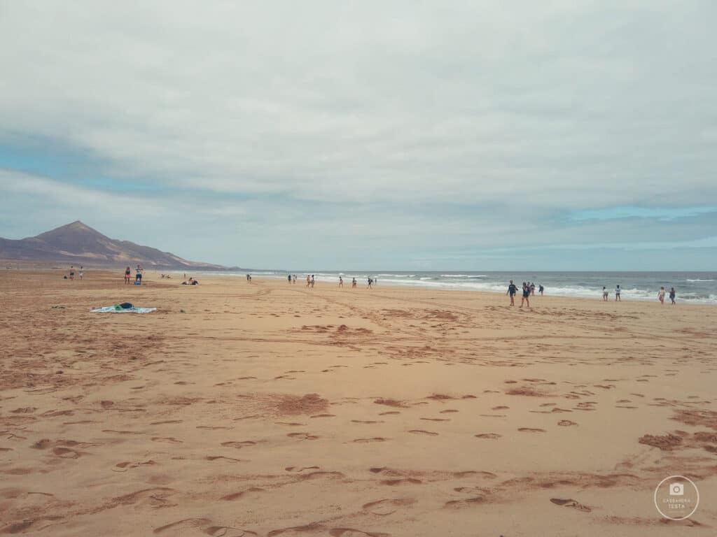 cofete