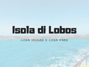 Isola di Lobos