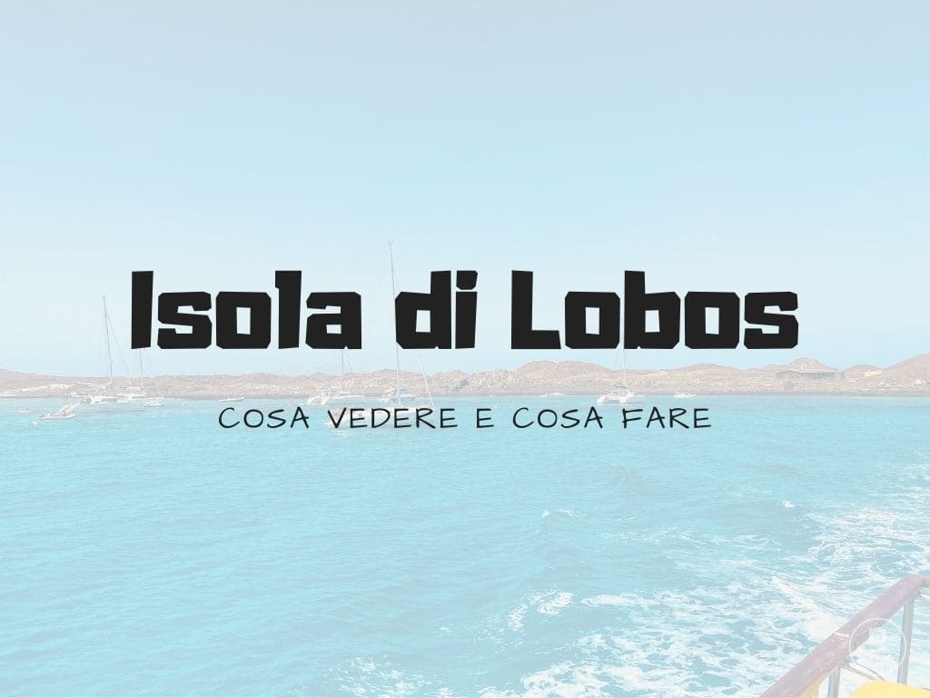 Isola di Lobos