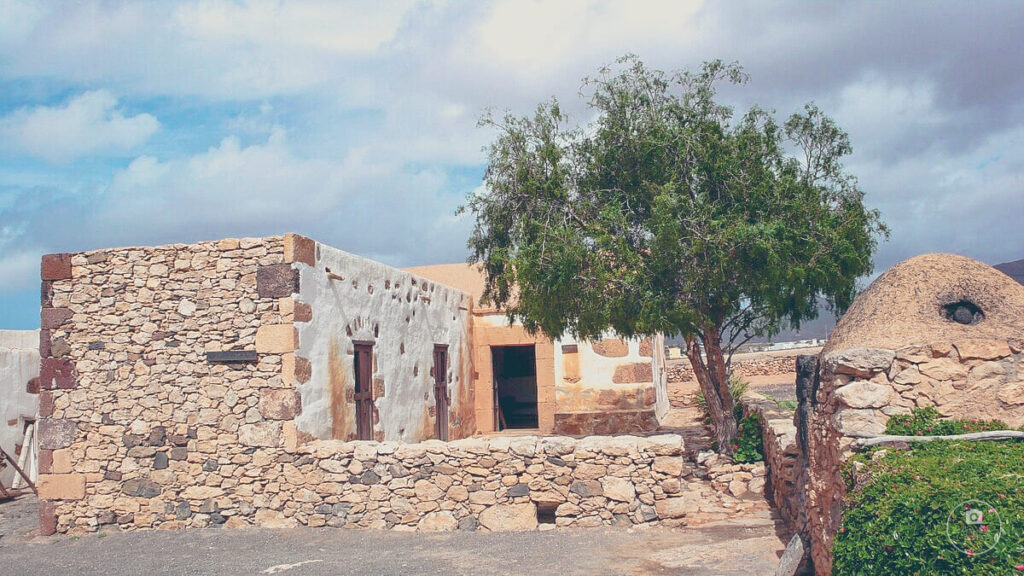 La Alcogida