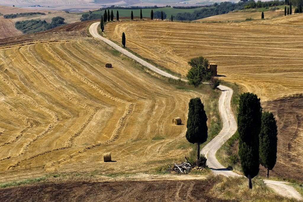 Campi Elisi Il Gladiatore