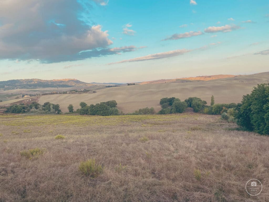 Vista sul Boschetto Cipressi San Quirico