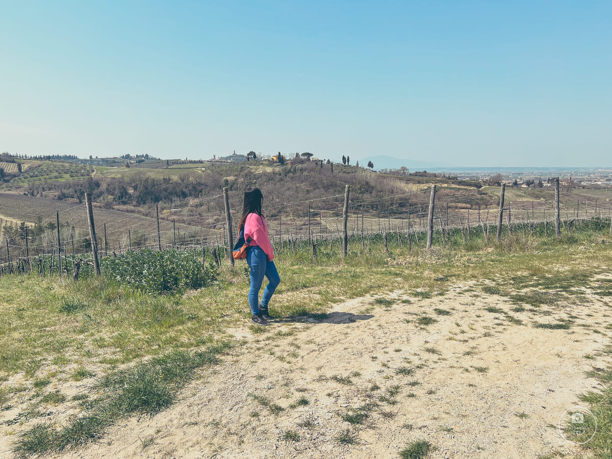 Visita Cantina Cosimo Maria Masini