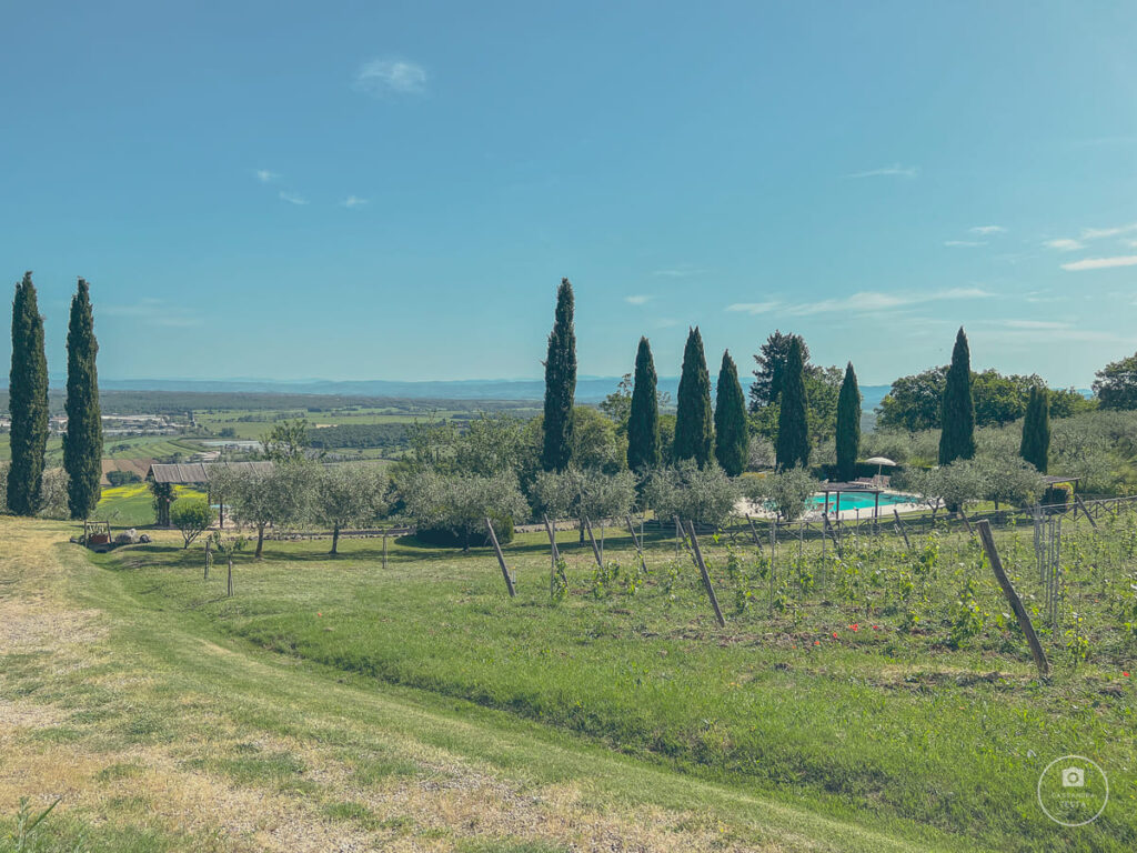 Agriturismo Agresto Casole d'Elsa
