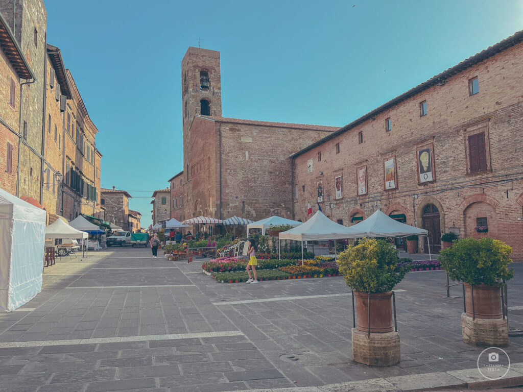 Collegiata di Santa Maria Assunta e Museo Casole d'Elsa