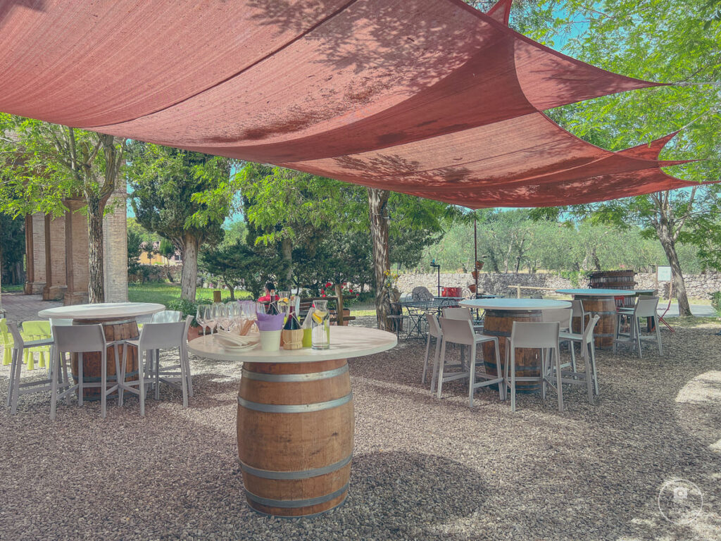 Degustazione Scorgiano