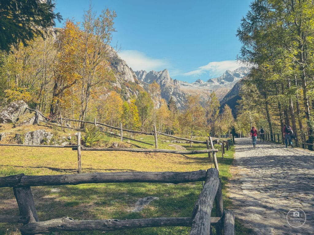 Escursione Facile in Val di Mello
