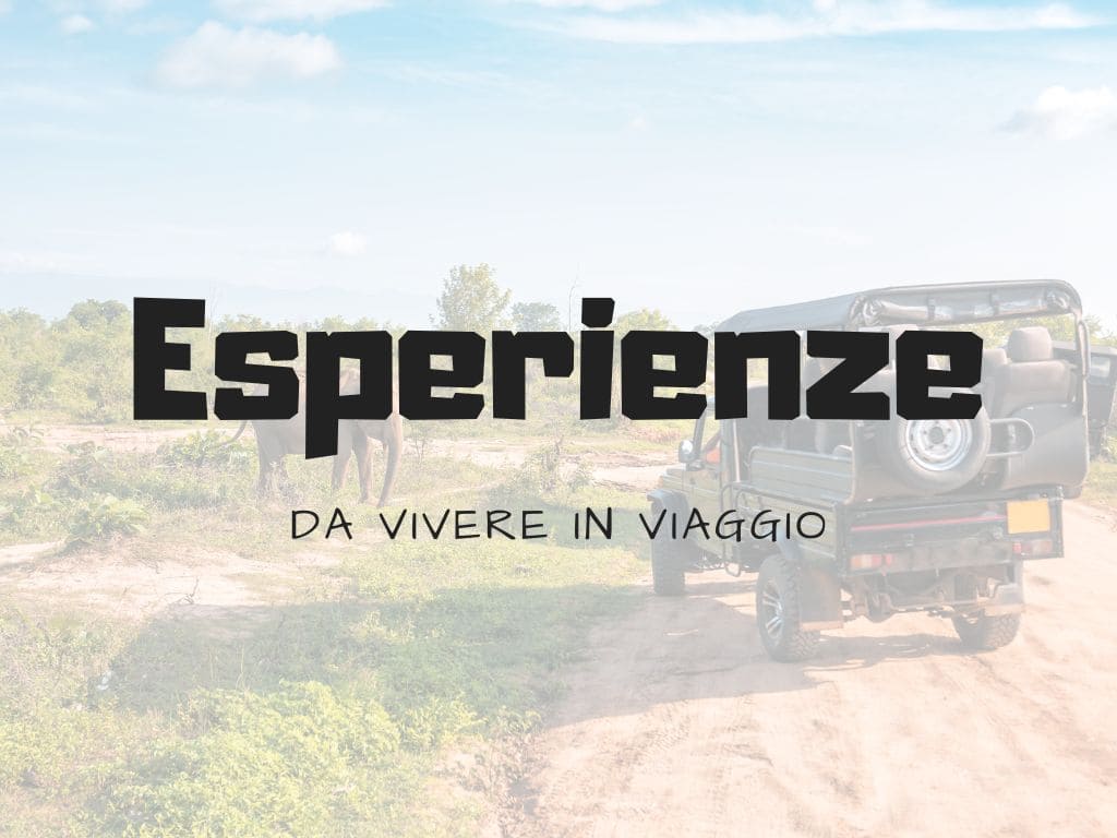 Esperienze da Vivere in Viaggio