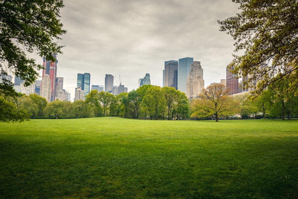 Central Park New York