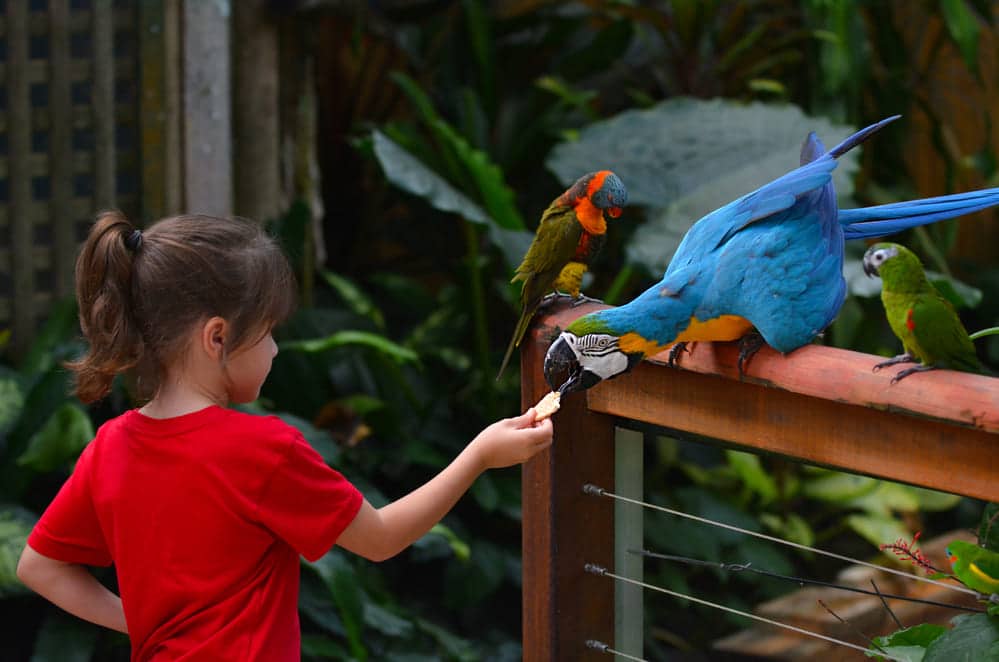 Central Park Zoo